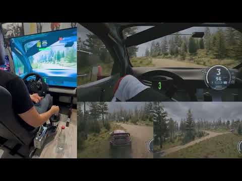 RALLY FINLAND IS A CRAZY SPEED