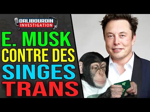 ELON MUSK DOIT COUPER LES DEPENSES BUDGETAIRES DE SINGES TRANSGENRES SOUS METANPHET