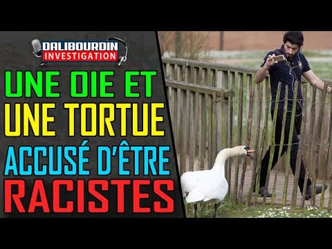 A GOOSE AND A TURTLE ACCUSED OF RASSY BECAUSE THEY ATTACK PEOPLE OF COLOR