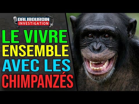 LIBERATION EXPLAINS THAT LIVING TOGETHER WITH CHIMPANZEE IS ENRICHING