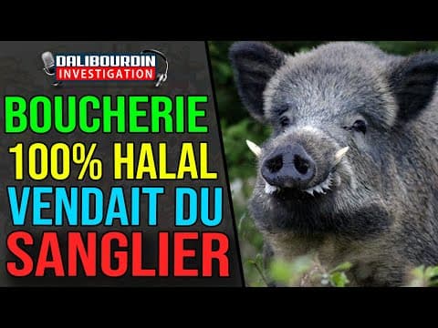 UNE BOUCHERIE 100% HALAL VENDAIT DU SANGLIER