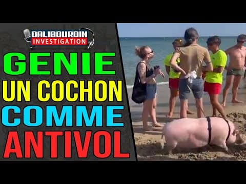 GENIE - HE WALKS WITH A PIG TO PREVENT THEFTS